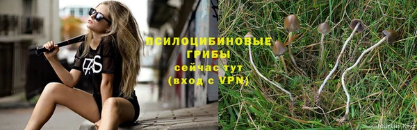 герыч Балахна