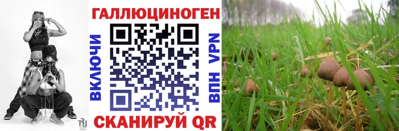 магазин продажи наркотиков  Лаишево  Псилоцибиновые грибы GOLDEN TEACHER 